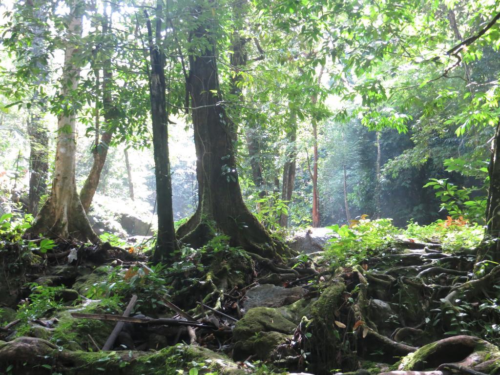 Manora Garden Otel Phang Nga Dış mekan fotoğraf