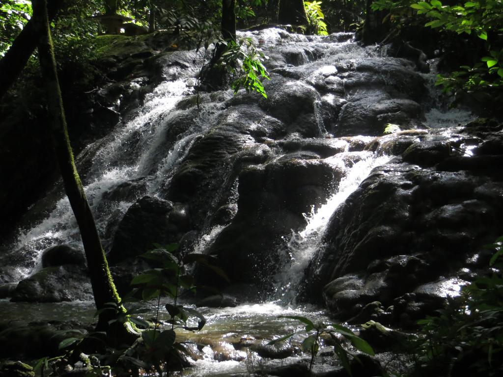 Manora Garden Otel Phang Nga Dış mekan fotoğraf