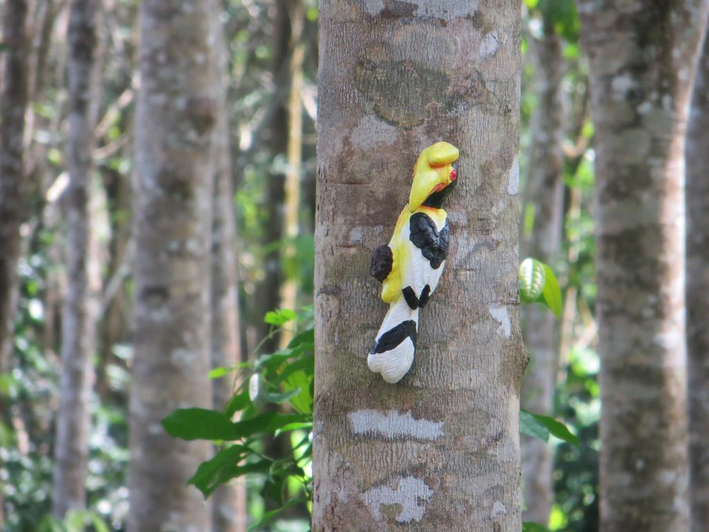 Manora Garden Otel Phang Nga Dış mekan fotoğraf